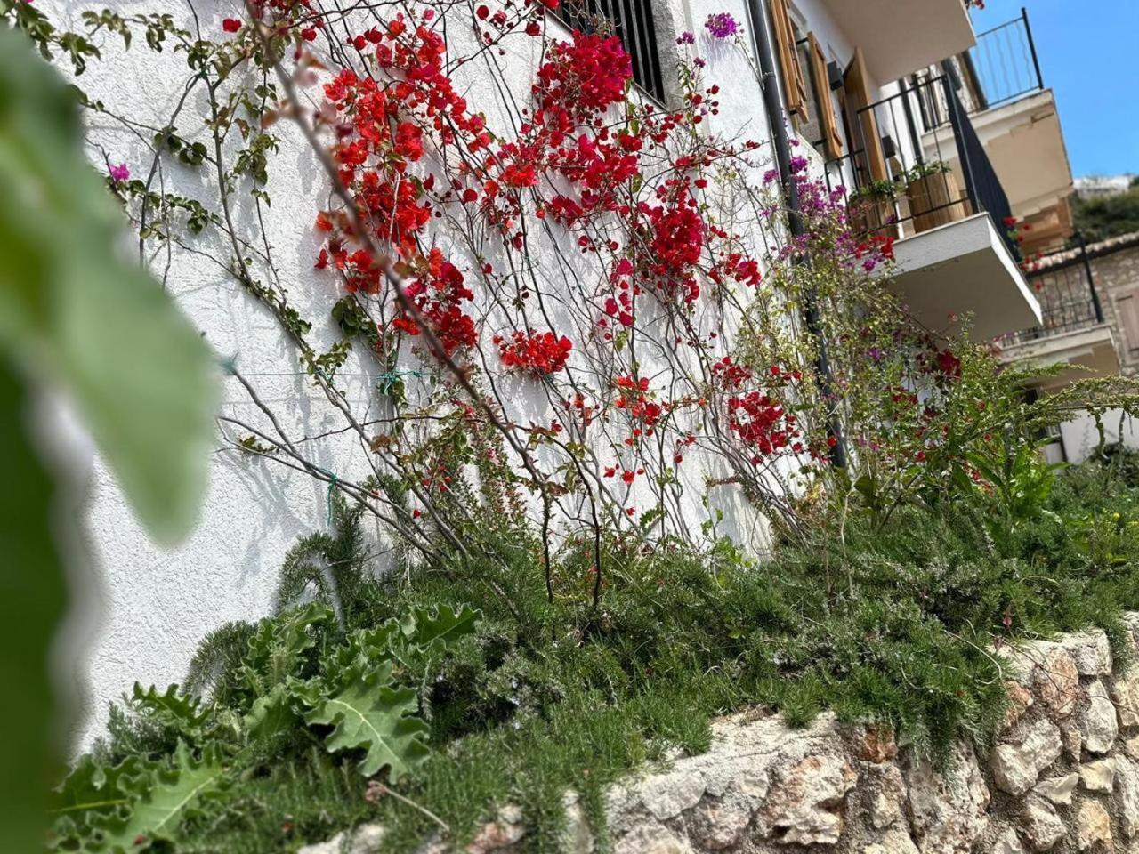 Lion'S Villa Vlorë Exterior foto